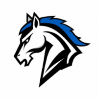 Amazing Logo for horse